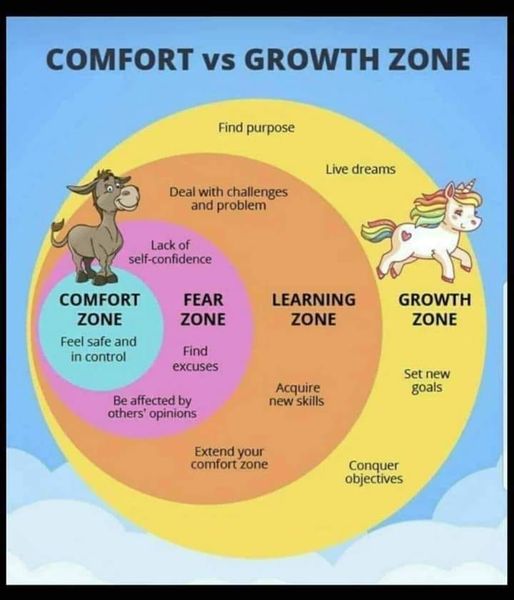 comfort vs growth zone